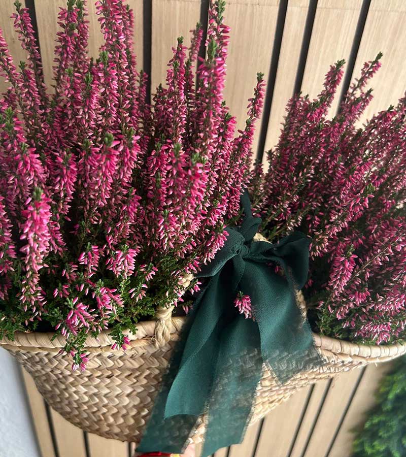 Arreglos Florales - B&C Eventos