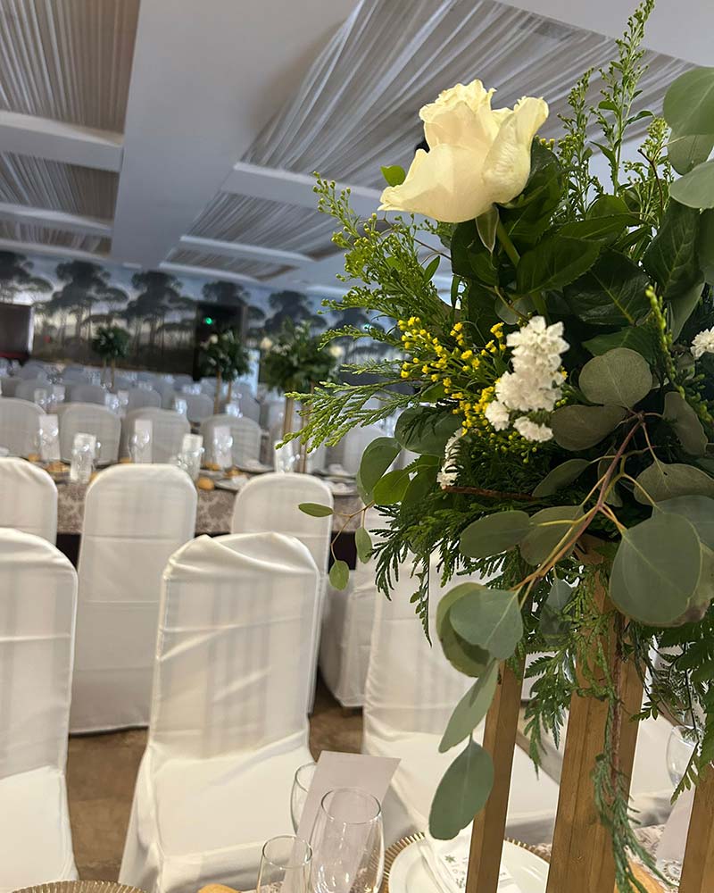 B&C Eventos - Jessica Bautista Cerrillo
